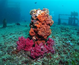 HMAS Brisbane Dive Site - Accommodation Melbourne 0