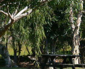 Spring Grove NSW Accommodation Melbourne