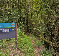 Red Cedar loop - Accommodation Melbourne