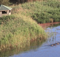 Spring Creek Bird Hide - Accommodation Melbourne