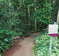 Walk with the Birds boardwalk - Accommodation Melbourne