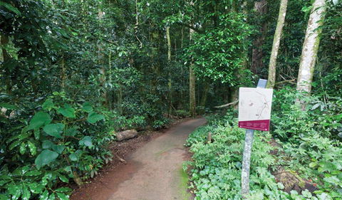 Walk With The Birds Boardwalk - Accommodation Melbourne 0