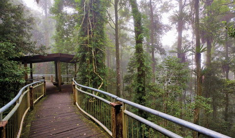 Walk With The Birds Boardwalk - Accommodation Melbourne 3