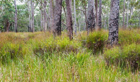 Narrawallee Inlet Walking Track - Accommodation Melbourne 0