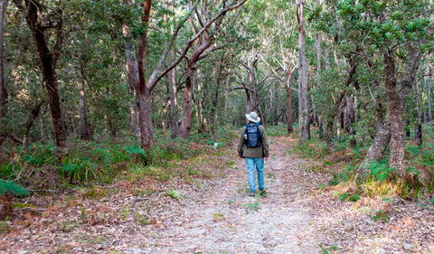 Narrawallee Inlet Walking Track - Accommodation Melbourne 1