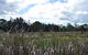 Jabiru Geenbeebeinga Wetlands - thumb 1