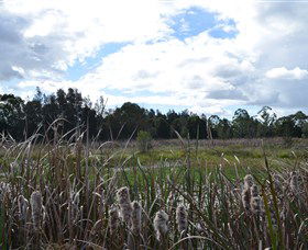 Jabiru Geenbeebeinga Wetlands - Accommodation Melbourne 1