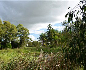 Jabiru Geenbeebeinga Wetlands - Accommodation Melbourne 2