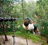 TreeTop Challenge - Accommodation Melbourne