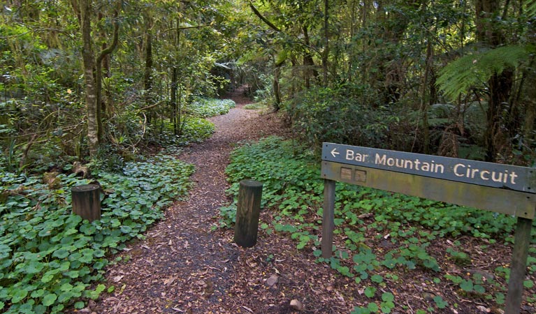 Upper Horseshoe Creek NSW Accommodation Melbourne