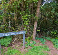 Falcorostrum loop walking track - Accommodation Melbourne