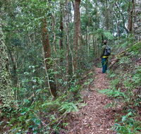 Blackbutt walking track - Accommodation Melbourne