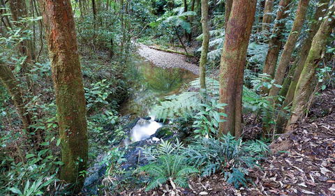 Blackbutt Walking Track - Accommodation Melbourne 1