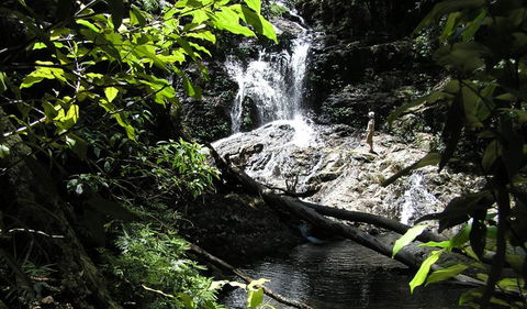 Blackbutt Walking Track - Accommodation Melbourne 2