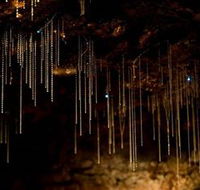 Tamborine Mountain Glow Worm Caves - Accommodation Melbourne