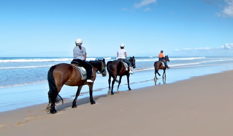 Worimi National Park - Accommodation Melbourne 1