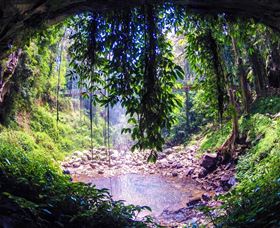 Dorrigo Rainforest Centre - Accommodation Melbourne 1