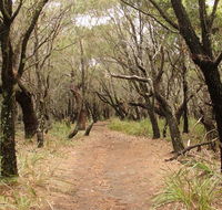 Pretty Beach to Snapper Point walking track - Accommodation Melbourne