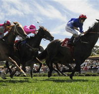 Moruya Racecourse - Accommodation Melbourne