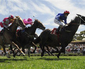 Moruya Racecourse - Accommodation Melbourne 0
