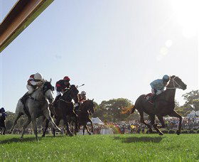 Moruya Racecourse - Accommodation Melbourne 1