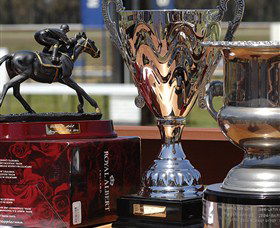 Moruya Racecourse - Accommodation Melbourne 4