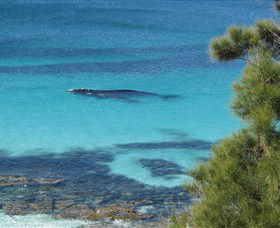Jervis Bay Marine Park - Accommodation Melbourne 0