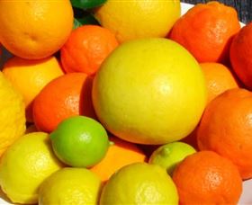 Fruit Salad Tree Company - Accommodation Melbourne 2