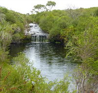 Booderee National Park Green Patch and Telegraph Creek Walking Tracks - Accommodation Melbourne