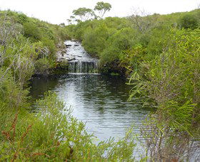 Booderee National Park: Green Patch And Telegraph Creek Walking Tracks - Accommodation Melbourne 0