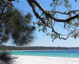 Booderee National Park: Green Patch And Telegraph Creek Walking Tracks - Accommodation Melbourne 6