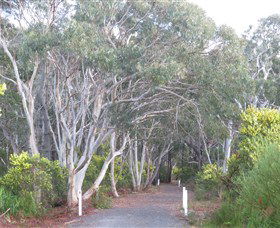 Booderee National Park: Munyunga Waraga Dhugan Walking Trail - Accommodation Melbourne 3