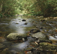Plateau Circuit loop trail - Accommodation Melbourne
