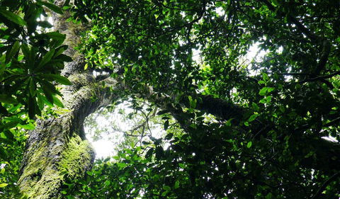 Wollumbin National Park - Accommodation Melbourne 1