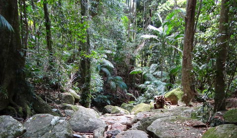 Wollumbin National Park - Accommodation Melbourne 2