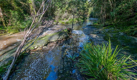 Dawson River Walking Track - Accommodation Melbourne 0