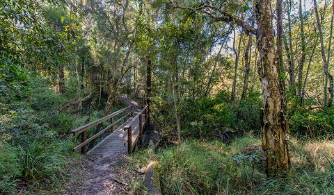 Dawson River Walking Track - Accommodation Melbourne 1