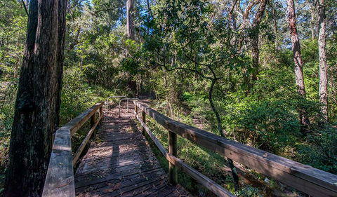 Dawson River Walking Track - Accommodation Melbourne 3