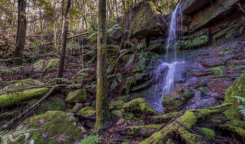 Coorabakh National Park - Accommodation Melbourne 0