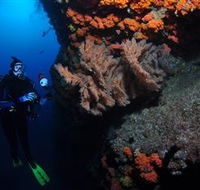 Gotham City Dive Site - Accommodation Melbourne