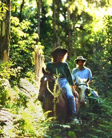 Clarendon Forest Retreat Horse Riding - Accommodation Melbourne 0