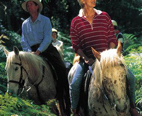 Clarendon Forest Retreat Horse Riding - Accommodation Melbourne 2