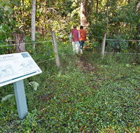 Coramba Nature Reserve - Accommodation Melbourne