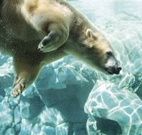 Australia's Sea World - Accommodation Melbourne