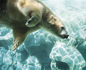 Australia's Sea World - Accommodation Melbourne 0