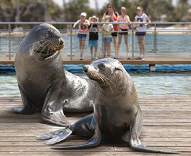 Australia's Sea World - Accommodation Melbourne 1