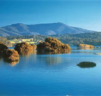 Wagonga Picnic Area - Accommodation Melbourne