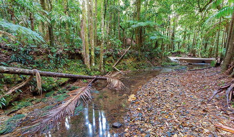 Ulidarra National Park - Accommodation Melbourne 0