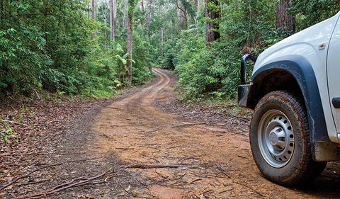 Ulidarra National Park - Accommodation Melbourne 2