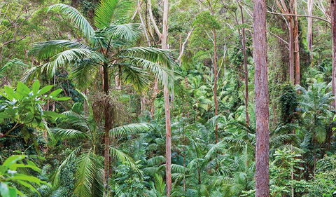 Ulidarra National Park - Accommodation Melbourne 3